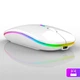 Беспроводная мышь Bluetooth + USB адаптер 2.4Ghz с RGB подсветкой, оптическая, аккумуляторная, белая - изображение 1