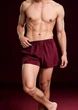 Шелковые трусы боксеры сатиновые Aphrodisiac Bordo Silk (L) – красный - изображение 1