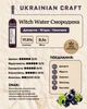 Напиток алкогольный Witch Water Смородина плодовая десертная 0.5 л 17.5% (4820269290433) - изображение 2