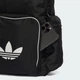 Рюкзак Adicolor adidas JX0240 (Один розмір) чорний (4068808829656) - зображення 5