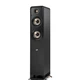 Напольная акустическая система Polk Audio Signature Elite ES50 Black - изображение 1