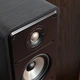 Напольная акустическая система Polk Audio Signature Elite ES50 Black - изображение 5