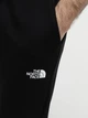 Джоггеры The North Face 8287106 Чёрный XXL N5618 - изображение 4