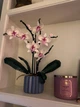 Квітка конструктор Орхідея з вазою 10311 icons Botanical 608 деталей квіти в горщику реалістична колекція подарунок - зображення 8