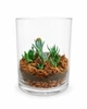 Ексклюзивний авторський флораріум Aqua-Tech Exclusive Florarium, FL001 - зображення 1