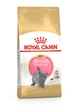 Сухий корм для кошенят породи британська короткошерста Royal Canin British Shorthair Kitten 2 кг (3182550816533) - зображення 1