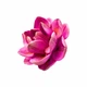 Силиконовый молд Магнолия 4 EXTRA SOFT - изображение 3