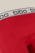 Труси для хлопчика боксерки Bibo 24048 122 (2400000197010) - зображення 3