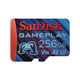 Карта пам'яті SanDisk 256GB microSDXC class 10 UHS-I U3 V30 A2 GamePlay (SDSQXAV-256G-GN6XN) - зображення 1