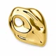 Брошь BROCHE Модерн Арабика из стали золотистая BRBF115523 - изображение 2