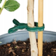 Клипсы для крепления растений PARKSIDE® HG10687G 30 шт - изображение 3