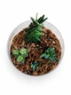 Ексклюзивний авторський флораріум Aqua-Tech Exclusive Florarium, FL003 - зображення 3