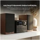 Микросистема Sharp Micro Sound System Brown (xl-b517d(br)) - зображення 6