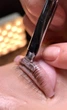 Eyelash Tint With Collagen Краска для ресниц 06 Blue-Black 15ml - изображение 2