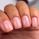 BIBLIOTEKA Builder Gel №01 Clear Моделюючий гель прозорий, 30 мл - изображение 2