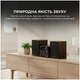 Мікросистема Sharp Micro Sound System Brown (XL-B517D(BR)) - изображение 9