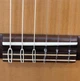 Гітара класична Prodipe Guitars Student LH 4/4 - зображення 4