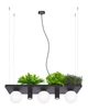 Люстра Zuma Line 5555 Plant Shelf E14+GU10 5x40W+10W IP20 черная - изображение 1