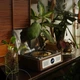 Плеер THINKYA F08 CD ретро портативный Bluetooth, оптический выход, орех - изображение 5