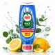 Суперконцентрований засіб 5X для миття посуду FAIRY Max Power ANTIBACTERIAL Eucalipt (аромат евкаліпту) 730мл - зображення 1