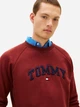 Свитшот на флисе мужской Tommy Hilfiger 249705615 3XL Бордовый (1159863159) - изображение 4