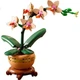 Конструктор LEGO Botanicals Mini Orchid 274 детали (10343) - изображение 2