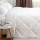 Ковдра ТЕП NATURE PURE WOOL євро з овечою вовною 200*220 см Білий (56100200220) - зображення 1