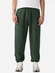 Спортивные штаны утепленные мужские Levi`s 908563413 S Зеленые (1159863286) - изображение 1