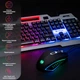 Комплект Hölmer SG-01 USB UA Black (SG-01) - зображення 1