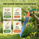 Пила садова AgroStar S-01 27см для обрізки гілок сухостою формування крони кущів ножівка ручна вигнута - зображення 7