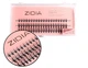 Ресницы накладные пучковые Zidia Cluster Lashes 16D KIM C 0.10 MIX (3 ленты, размер 8/10/12 мм) - изображение 1