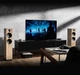 Акустическая система Argon Audio Fenris A55 Ash - изображение 4