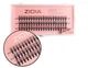 Вії накладні пучкові Zidia Cluster Lashes 16D KIM C 0.10 (3 лєнти, розмір 11 мм) - зображення 1