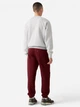 Спортивные штаны на флисе мужские Levi`s 199315923 L Бордовые (1159863445) - изображение 5