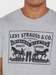 Футболка бавовняна чоловіча Levi`s 786146806 3XL Сіра (1159863402) - зображення 6