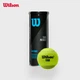 Тенісні м'ячі Wilson Tour Premier Pressurized, упаковка з 3 шт. - зображення 4