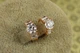 Серьги кольца Хuping Jewelry Багеты с камешком 11 мм золотистые - изображение 1