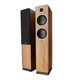 Напольная активная мультимедийная акустика Argon Audio FENRIS Active 55 Walnut - изображение 1