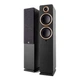 Напольная активная мультимедийная акустика Argon Audio FENRIS Active 55 Black - изображение 1