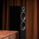 Напольная активная мультимедийная акустика Argon Audio FENRIS Active 55 Black - изображение 3