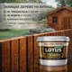 Лак для дерева LOTUS акриловый глянцевый прозрачный для пола, мебели и фасада 1 л - изображение 7