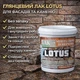 Лак акриловий LOTUS «Мокрий камінь» прозорий для бетону, цегли та каменю 5 л - зображення 5