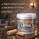 Лак акриловий LOTUS «Мокрий камінь» прозорий для бетону, цегли та каменю 5 л - зображення 9