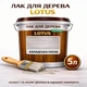 Лак для дерева LOTUS декоративно-защитный глянцевый Канадская сосна 5 л - изображение 1