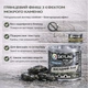 Лак акриловый фасадный Skyline Stone глянцевый с эффектом мокрого камня для камня и кирпича прозрачный 0.75 л - изображение 7