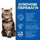 Hill's SCIENCE PLAN Hairball & Perfect Coat Сухой корм для взрослых кошек для выведения комочков шерсти и улучшения состояния шерсти, с курицей, 3 кг - изображение 2