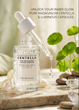 Сыворотка осветляющая для лица SKIN1004 Madagascar Centella Tone Brightening Capsule Ampoule 50 мл (8809913830627) - изображение 4
