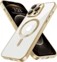 Чехол Fiji Chrome для Apple iPhone 12 Pro Max с MagSafe и защитой камер матовый Light Gold - зображення 1