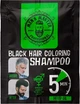 Окрашивающий шампунь для волос для камуфлирования седины Men's Master Brown Hair Coloring Shampoo (1 пак) Чёрн - изображение 1