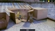 Ключ активации Little Strays: Deluxe Edition для Xbox One/Series S/X - изображение 2